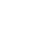 安全保障icon1