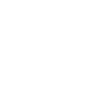 安全保障icon3